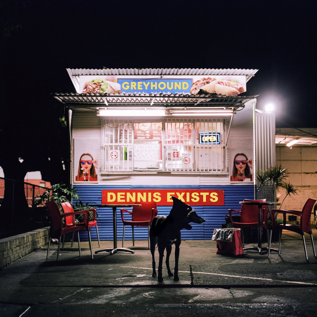 Greyhound Vinyl